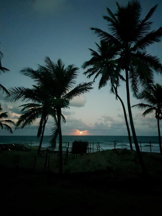 Rosagash Paradise - Praia De Santo Antonio Mata de Sao Joao Kültér fotó