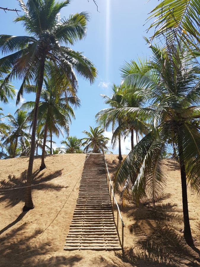 Rosagash Paradise - Praia De Santo Antonio Mata de Sao Joao Kültér fotó